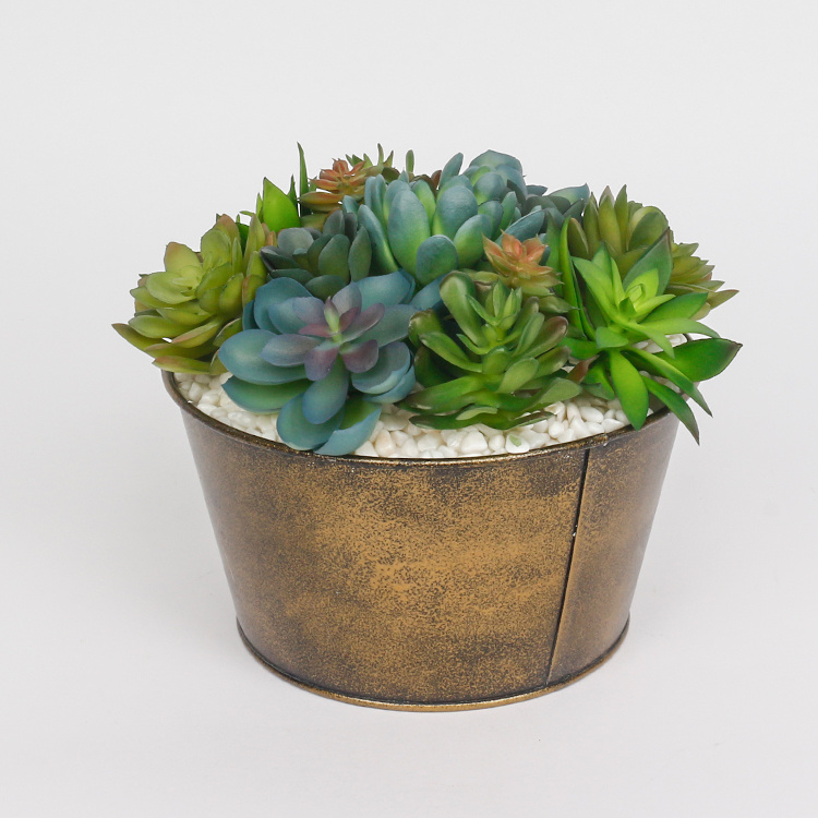 Arrangement-Artificial-Succulent-Plants-with-Iron-Pots-Succulent-Flower-Pot-for-Home-Hotel-Decoration (2).jpg